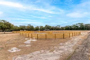 6170 NW 135th Ave, Morriston, FL 32668 - Photo 19