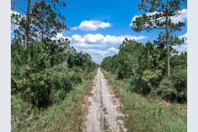 3341 & 3343 Pheasant Avenue, Lake Placid, FL 33852 - Photo 11