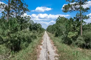 3341 & 3343 Pheasant Ave, Lake Placid, FL 33852 - Photo 11