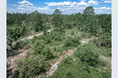 3341 & 3343 Pheasant Avenue, Lake Placid, FL 33852 - Photo 15