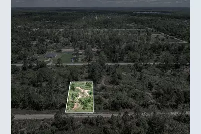 3341 & 3343 Pheasant Avenue, Lake Placid, FL 33852 - Photo 21