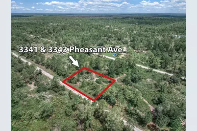 3341 & 3343 Pheasant Avenue, Lake Placid, FL 33852 - Photo 3