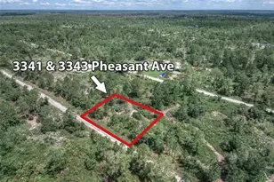 3341 & 3343 Pheasant Ave, Lake Placid, FL 33852 - Photo 3