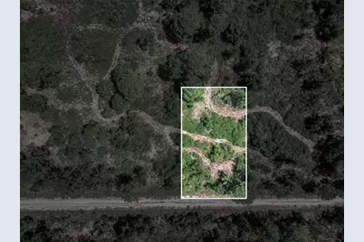 3341 & 3343 Pheasant Avenue, Lake Placid, FL 33852 - Photo 17