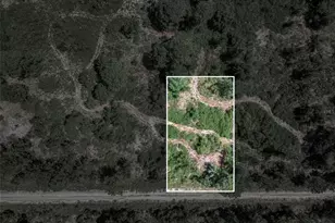 3341 & 3343 Pheasant Ave, Lake Placid, FL 33852 - Photo 17