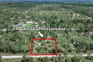 3341 & 3343 Pheasant Ave, Lake Placid, FL 33852 - Photo 1