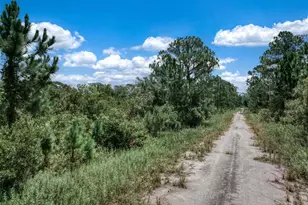 3341 Pheasant Ave, Lake Placid, FL 33852 - Photo 17