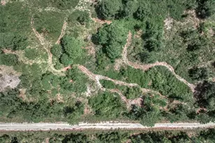 3341 Pheasant Ave, Lake Placid, FL 33852 - Photo 15