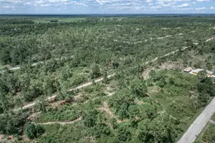 3341 Pheasant Ave, Lake Placid, FL 33852 - Photo 9