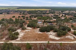 13351 SE 101st Pl, Dunnellon, FL 34431 - Photo 39