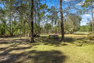 12150 NE 15 St, Williston, FL 32696 - Photo 31