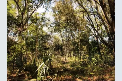 0 NE 123rd Avenue, Williston, FL 32696 - Photo 3