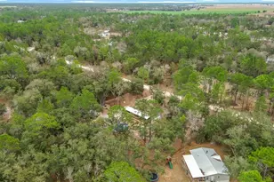 12051 NE 14th St, Williston, FL 32696 - Photo 53