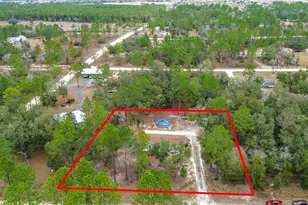 12051 NE 14th St, Williston, FL 32696 - Photo 51