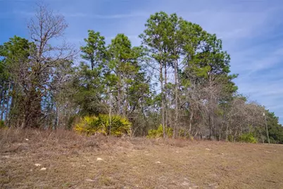 2173 W Citrus Springs Boulevard, Citrus Springs, FL 34434 - Photo 3