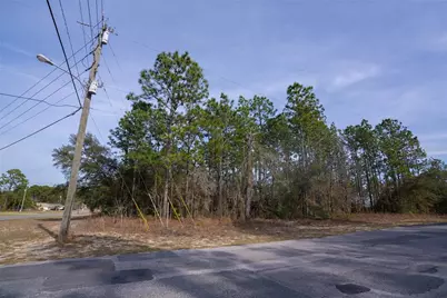 7391 N Cricket Drive, Citrus Springs, FL 34434 - Photo 3