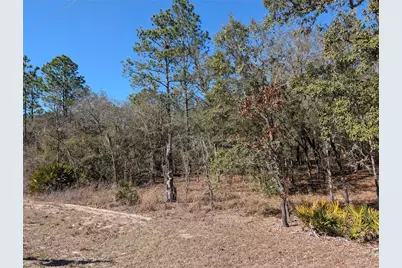 Sw 81st Street, Dunnellon, FL 34432 - Photo 5