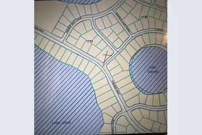 0 Fisher Loop, Ocklawaha, FL 32179 - Photo 5