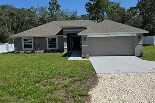 11025 Maybird Ave, Weeki Wachee, FL 34613 - Photo 1