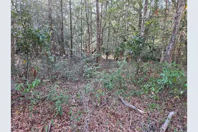 8150 NE 178th Terrace, Williston, FL 32696 - Photo 7