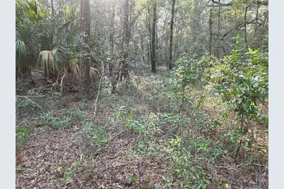 8150 NE 178th Terrace, Williston, FL 32696 - Photo 3