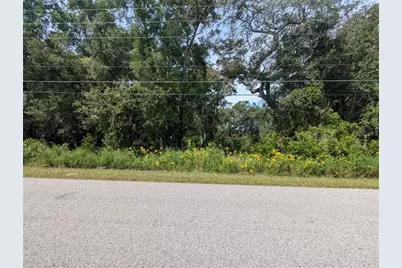 0 SE 99th Avenue, Summerfield, FL 34491 - Photo 3