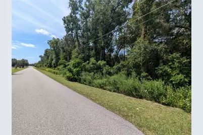 0 SE 99th Avenue, Summerfield, FL 34491 - Photo 11