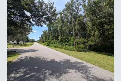 0 SE 99th Avenue, Summerfield, FL 34491 - Photo 5