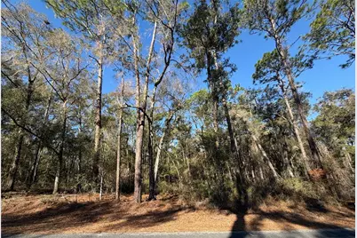 5230 S Robert Blake Avenue, Inverness, FL 34452 - Photo 7