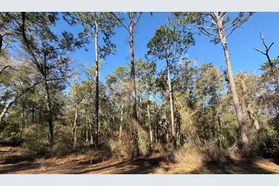 5230 S Robert Blake Avenue, Inverness, FL 34452 - Photo 9