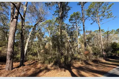 5230 S Robert Blake Avenue, Inverness, FL 34452 - Photo 3