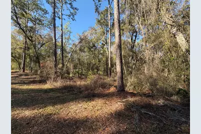 5230 S Robert Blake Avenue, Inverness, FL 34452 - Photo 5