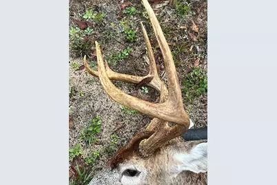 210 Tucker Springs Road, Sopchoppy, FL 32358 - Photo 79