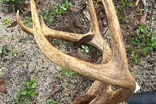 210 Tucker Springs Rd, Sopchoppy, FL 32358 - Photo 79