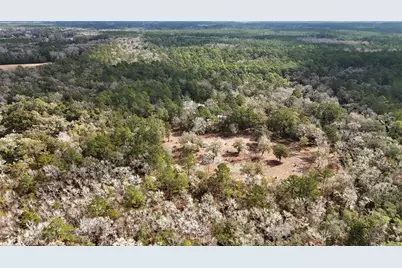 210 Tucker Springs Road, Sopchoppy, FL 32358 - Photo 49