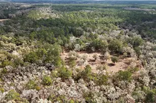 210 Tucker Springs Rd, Sopchoppy, FL 32358 - Photo 49