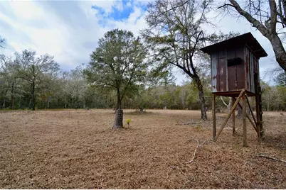 210 Tucker Springs Road, Sopchoppy, FL 32358 - Photo 5