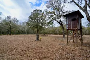 210 Tucker Springs Rd, Sopchoppy, FL 32358 - Photo 5