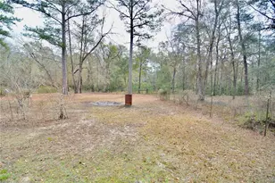 210 Tucker Springs Rd, Sopchoppy, FL 32358 - Photo 67