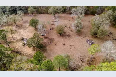 210 Tucker Springs Road, Sopchoppy, FL 32358 - Photo 87