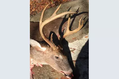 210 Tucker Springs Road, Sopchoppy, FL 32358 - Photo 77