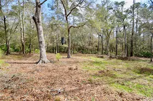 210 Tucker Springs Rd, Sopchoppy, FL 32358 - Photo 73