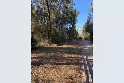 Tbd NE 150 Avenue, Fort Mc Coy, FL 32134 - Photo 7