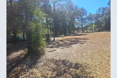 00 SW 55th Street, Ocala, FL 34472 - Photo 3