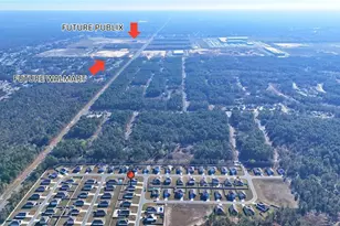 7011 SW 136th Ln, Ocala, FL 34473 - Photo 11