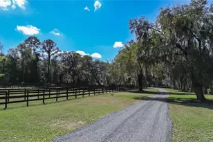 3245 NW 137th Pl, Reddick, FL 32686 - Photo 5