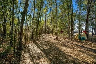 6655 NW 145th Avenue Road, Morriston, FL 32668 - Photo 87