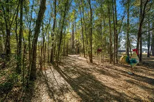 6655 NW 145th Avenue Rd, Morriston, FL 32668 - Photo 87