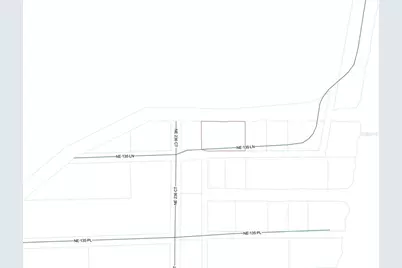 23667 NE 135th Lane, Fort Mc Coy, FL 32134 - Photo 3