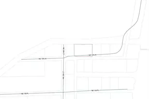 23667 NE 135th Ln, Fort Mc Coy, FL 32134 - Photo 3